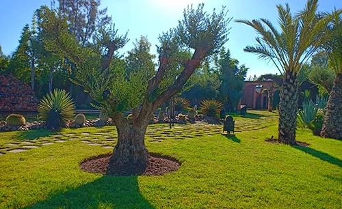 société de création des jardins à Rabat
